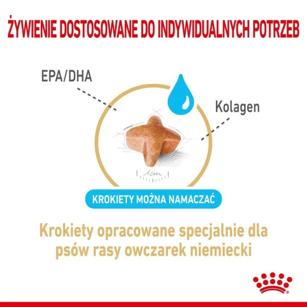 2edddc04cc2ad42660c0b32cdb111b89