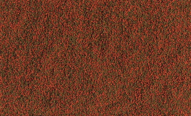 4efda0634b084be808e0fd71d99a04f8