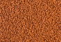 42df287c355e69fbf0ad681f8cfdd508