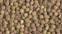 8a78c449363f7f97b2434abb54b9f16d