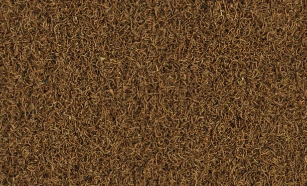 6f24a689f8ad2f6c32670ac5492e7410