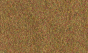b096fe91d66c864662d3499e7266144f
