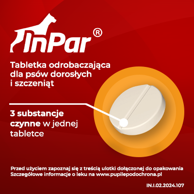 dc2e02fe51a80950f5f23f895a6cad4f