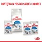 9d1b3ac85b9a6fb810b5037d979afaf6