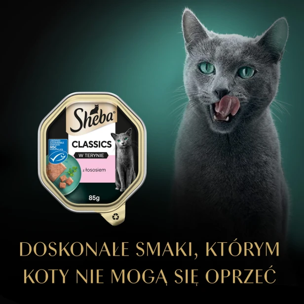 ba50c46071eba74bb6eebcbbda1e71e3