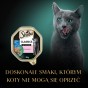 ba50c46071eba74bb6eebcbbda1e71e3