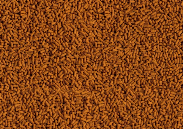 229067eb62039f1519e6b1e1999e9167