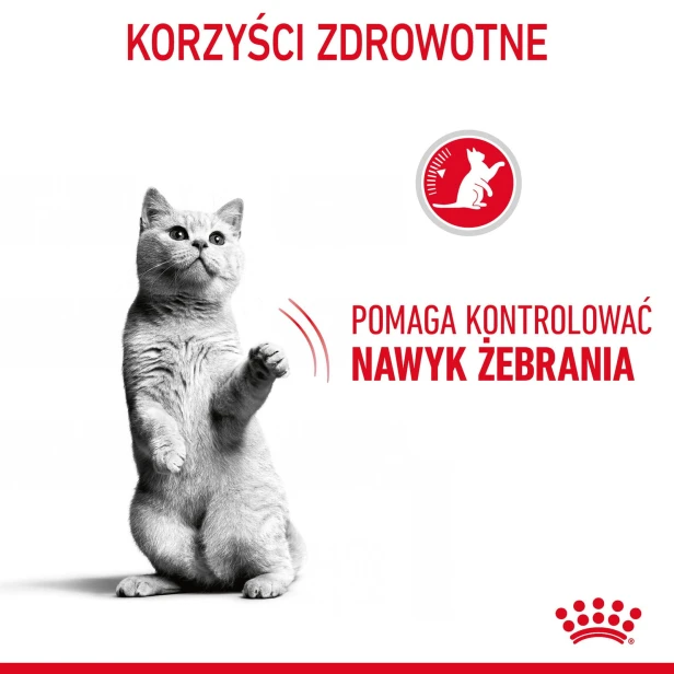 58ffef55720647788b56d5efd4d30f32