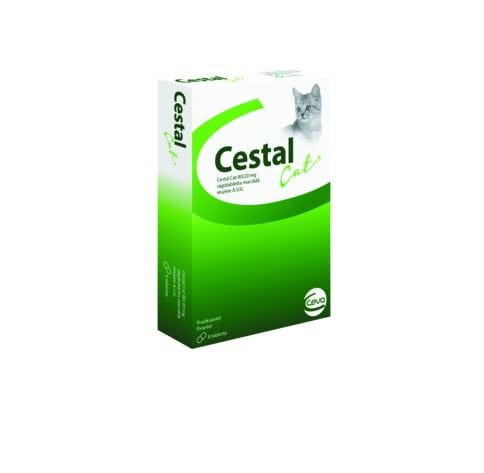 d983da76ba3801c711ff98445a4c187f