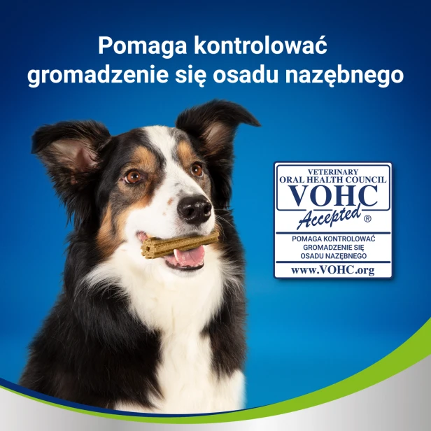 af27957649aa75fe280839791b94b7f5