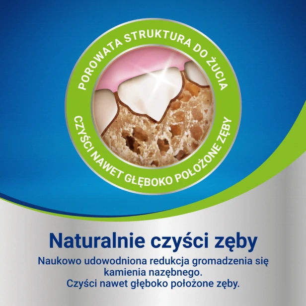 cc2873e46dacbd45de082a86ccb3e056