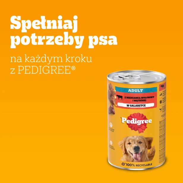 987e63366f7f0e7fc91db3c97d388a7b