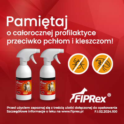 4186a55eb6d9efc138202e698affa4f2
