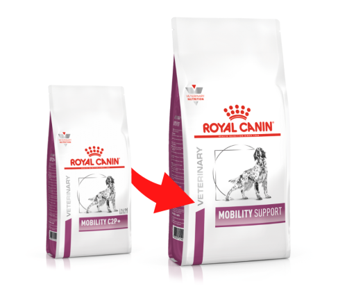 2869f3b93307d9fb8f6fa58ba999b05d