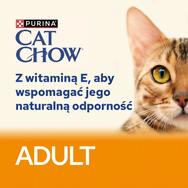 3e307467ea727ab1588069d44ac00929