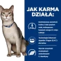 Hill's Prescription Diet k/d Feline Salmon 85g