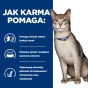 Hill's Prescription Diet k/d Feline Salmon 85g