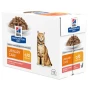 Hill's Prescription Diet c/d Multicare Feline Salmon 85g