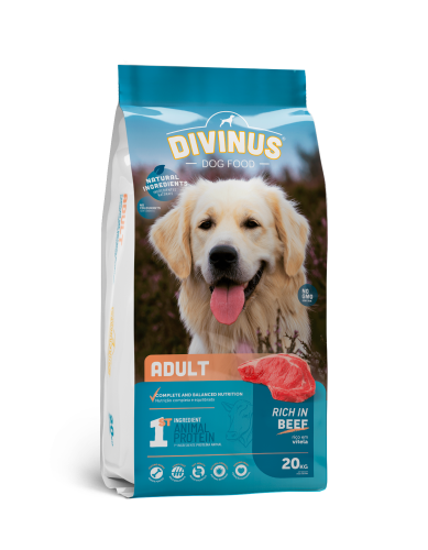 Divinus Adult dla psów dorosłych 20kg