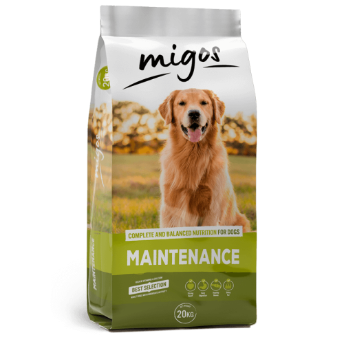 Migos Maintenance 20kg