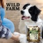 Wild Farm Racice Jagnięce Przysmak Dla Psa 300g