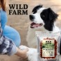 WILD FARM Rollsy Z Jagnięciny Przysmak Dla Psa 500G