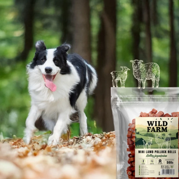 WILD FARM Rollsy Z Jagnięciny Przysmak Dla Psa 500G