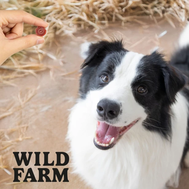 WILD FARM Rollsy Z Jagnięciny Przysmak Dla Psa 500G