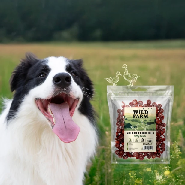 WILD FARM Rollsy Z Kaczki Przysmak Dla Psa 500G