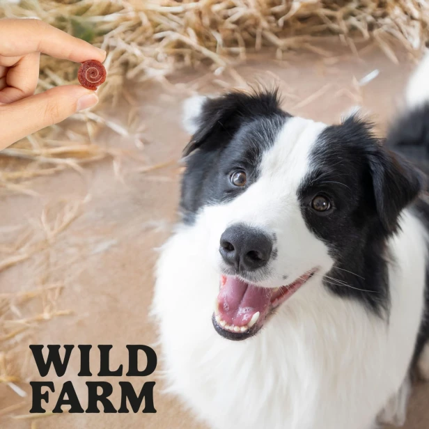 WILD FARM Rollsy Z Kaczki Przysmak Dla Psa 500G