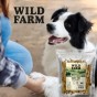 WILD FARM Uszy Królicze Przysmak Dla Psa 300G
