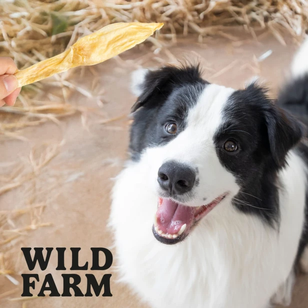 WILD FARM Uszy Królicze Przysmak Dla Psa 300G