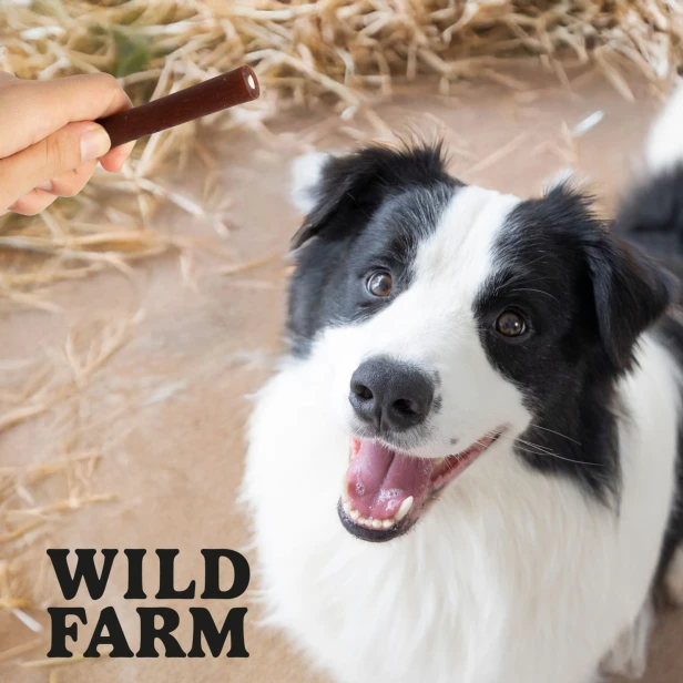 WILD FARM Rurki Dentystyczne Z Królikiem Przysmak Dla Psa 500G