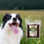 WILD FARM Rurki Dentystyczne Z Królikiem Przysmak Dla Psa 500G