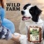 WILD FARM Chipsy Z Jagnięciny Przysmak Dla Psa 500G