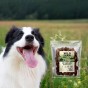 WILD FARM Węzełki Z Kaczki Przysmak Dla Psa 500G