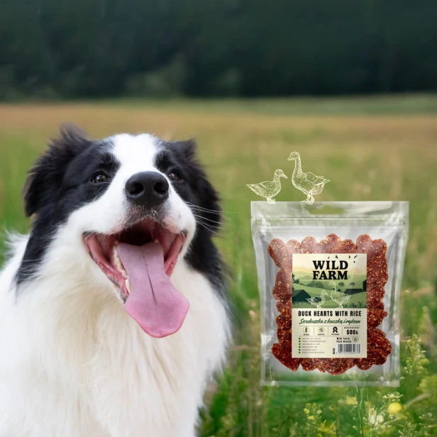 WILD FARM Serduszka Z Kaczką I Ryżem Przysmak Dla Psa 500G