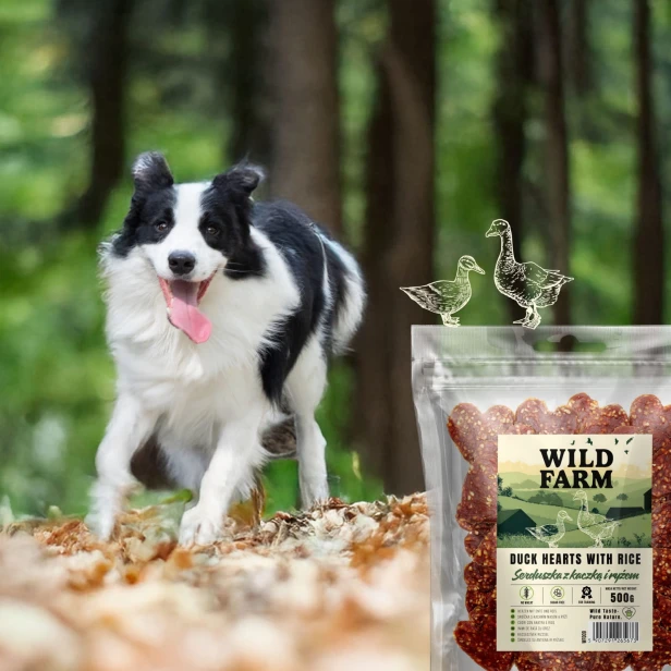 WILD FARM Serduszka Z Kaczką I Ryżem Przysmak Dla Psa 500G