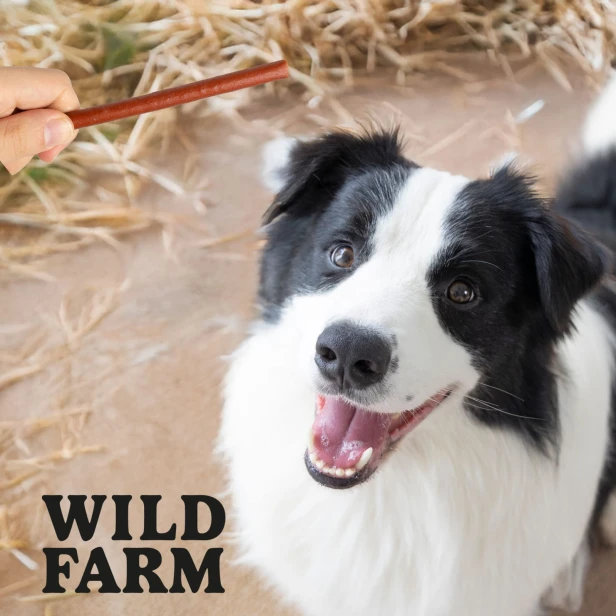 WILD FARM Paluszki Z Królika Przysmak Dla Psa 500G