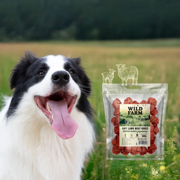 WILD FARM Miękkie Kostki Z Jagnięciny Przysmak Dla Psa 500G