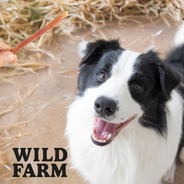 WILD FARM Miękkie Stripsy Z Kaczki Przysmak Dla Psa 500G