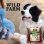 WILD FARM Miękkie Stripsy Z Kaczki Przysmak Dla Psa 500G