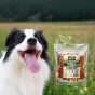 WILD FARM Filet Z Piersi Kurczaka Na Patyku Przysmak Dla Psa 500G