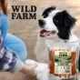 WILD FARM Filet Z Piersi Kurczaka Na Patyku Przysmak Dla Psa 500G