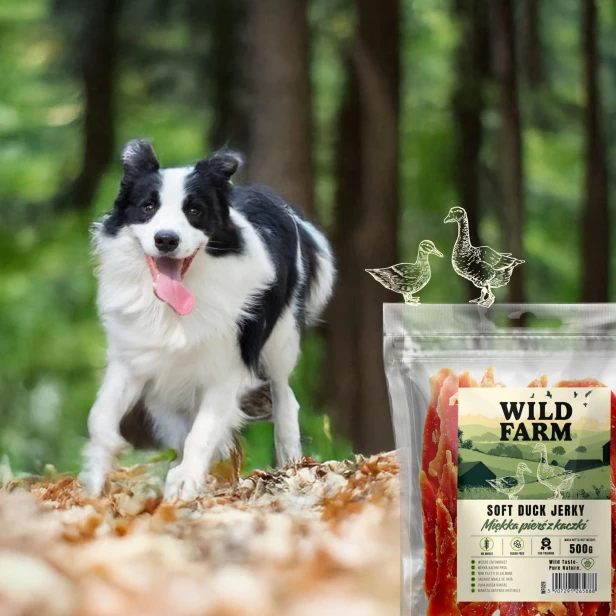 WILD FARM Miękka Pierś Z Kaczki Przysmak Dla Psa 500G