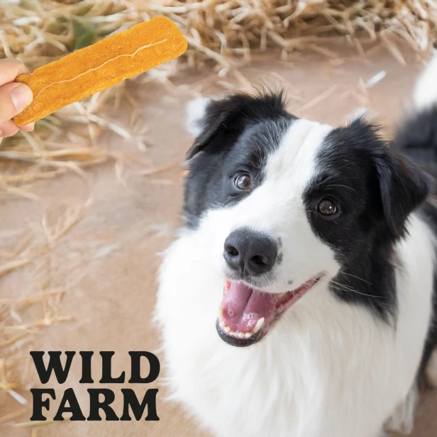 WILD FARM Filety Multiwitaminowe Z Batatów Przysmak Dla Psa 500G