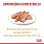 1fbf4a54b32cd4ea62a572244abfb204