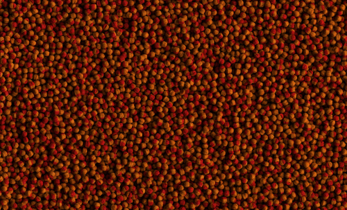 0539f6e93b10107dbf2a8658a190a413
