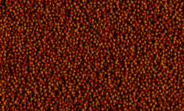 0539f6e93b10107dbf2a8658a190a413