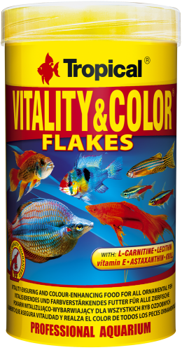 a4c06a6fbf65c13f880c9e538fa8d3a8